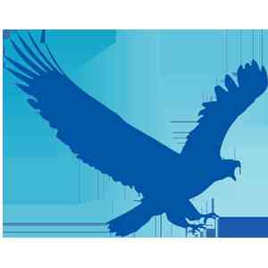 logo for Eagleget