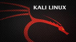 logo for Kali Linux