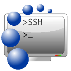 poster for Bitvise SSH Client